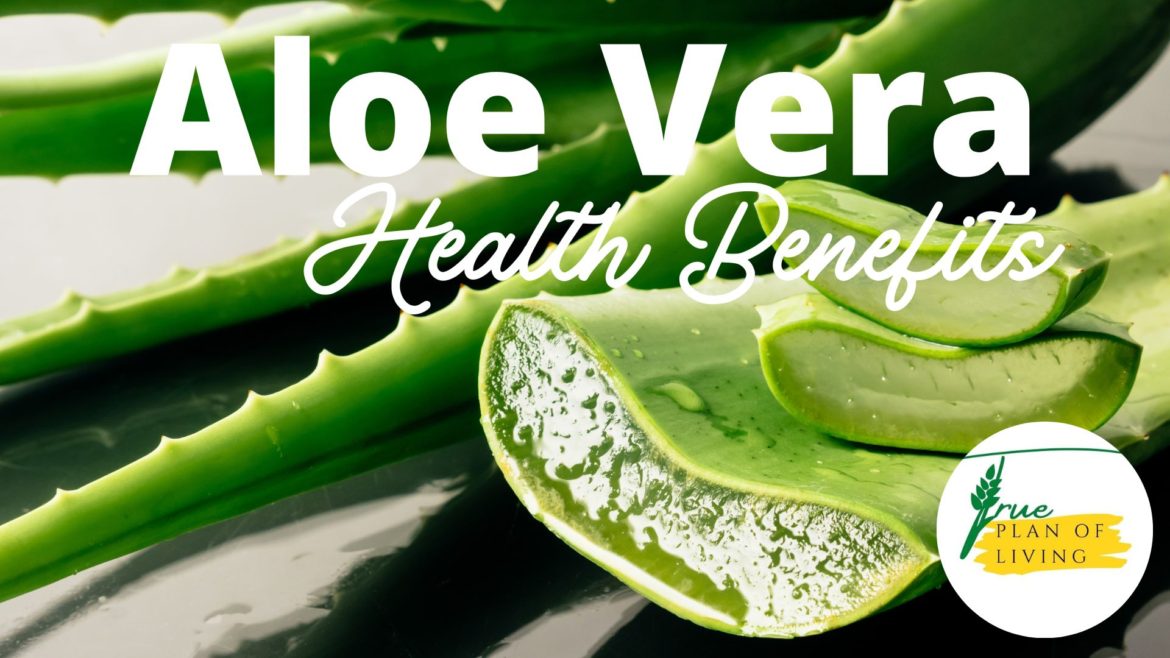 Health Benefits of Aloe Vera